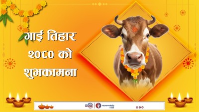 आज गाई तिहार, गाईको पूजाआराधना गरिँदै